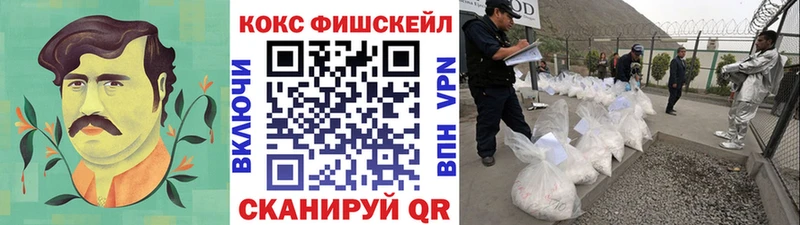 MEGA как войти  Волосово  КОКАИН 98%  где найти  